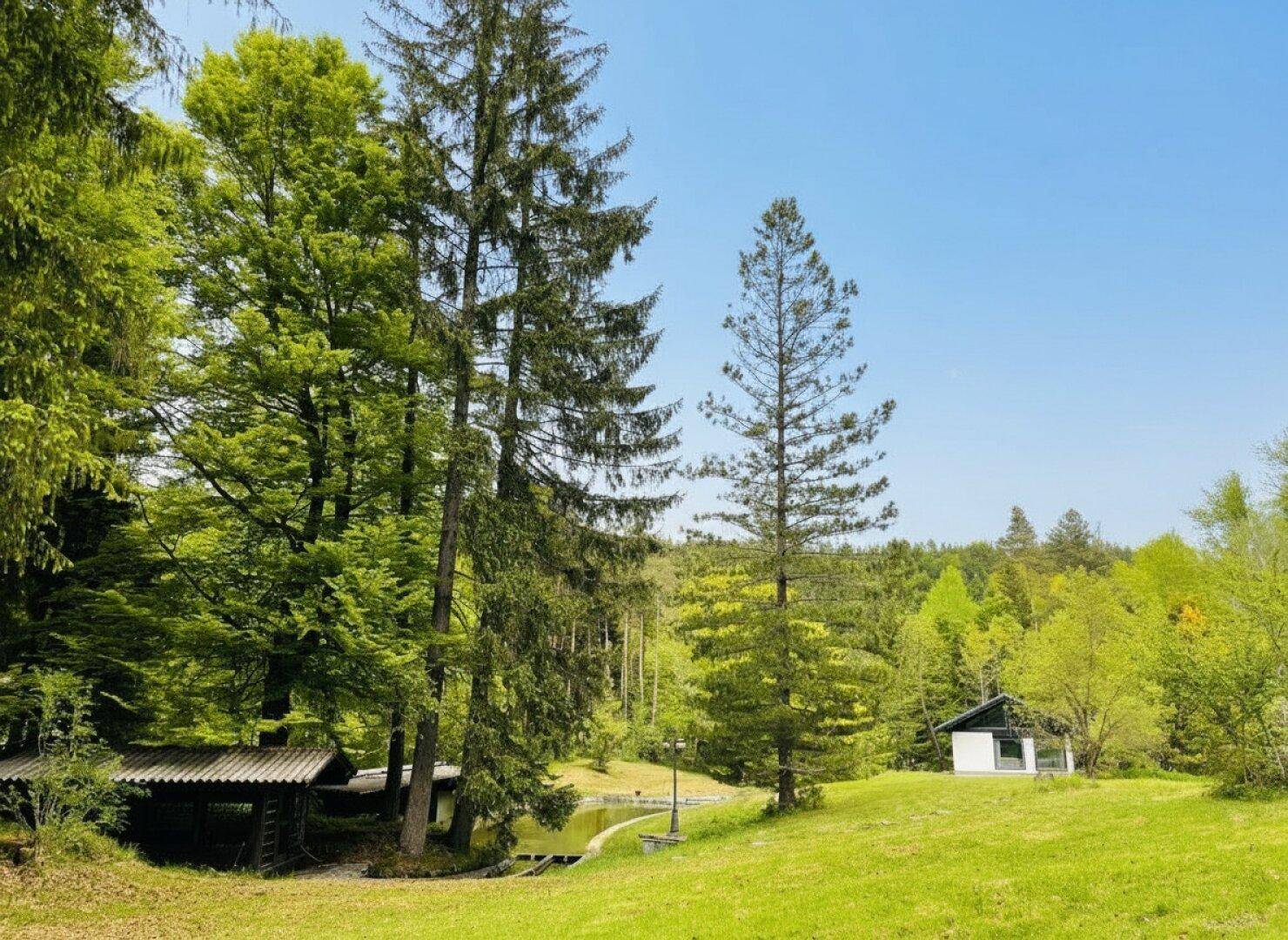 Weitläufige grüne Landschaft mit hohen Bäumen, einer Wiese und einem kleinen weißen Gebäude im Hintergrund.