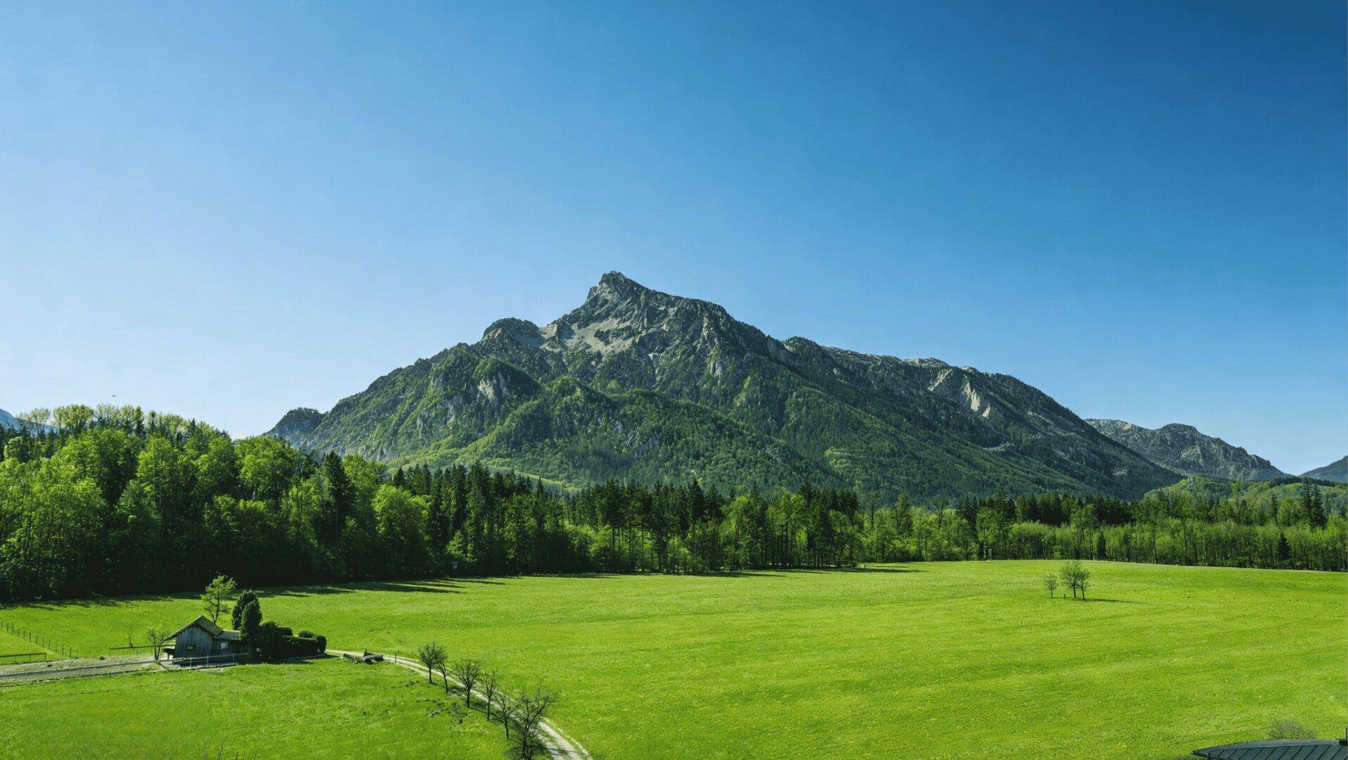 4 Exklusive Baugrundstücke in Salzburg-Morzg – Individuell teilbar und vielseitig kombinierbar