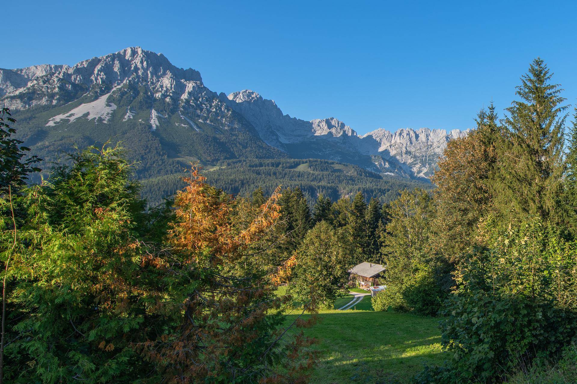 Weitläufiger Blick auf die majestätische Berglandschaft und dichte Wälder unter blauem Himmel.