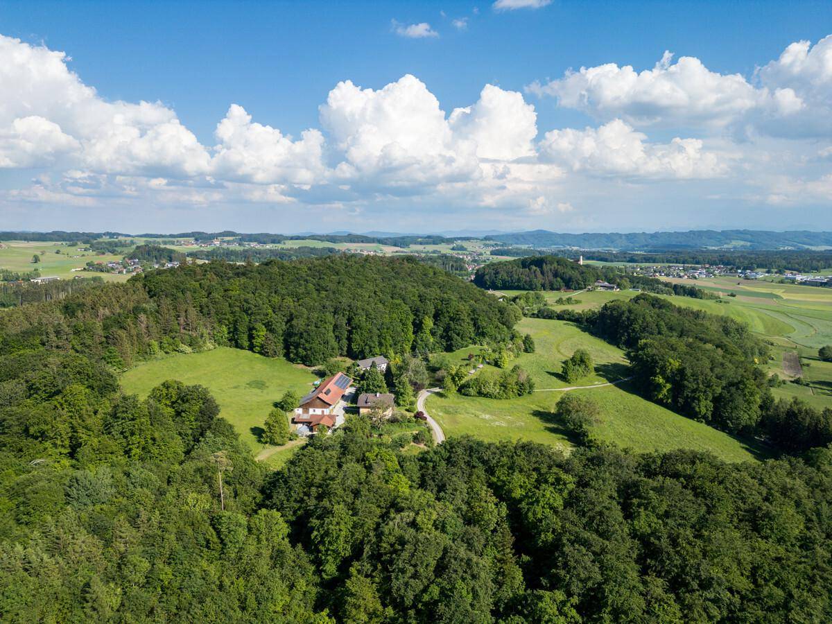 Panoramische Luftaufnahme des Anwesens, umgeben von dichten Wäldern und sanften Hügeln unter blauem Himmel.