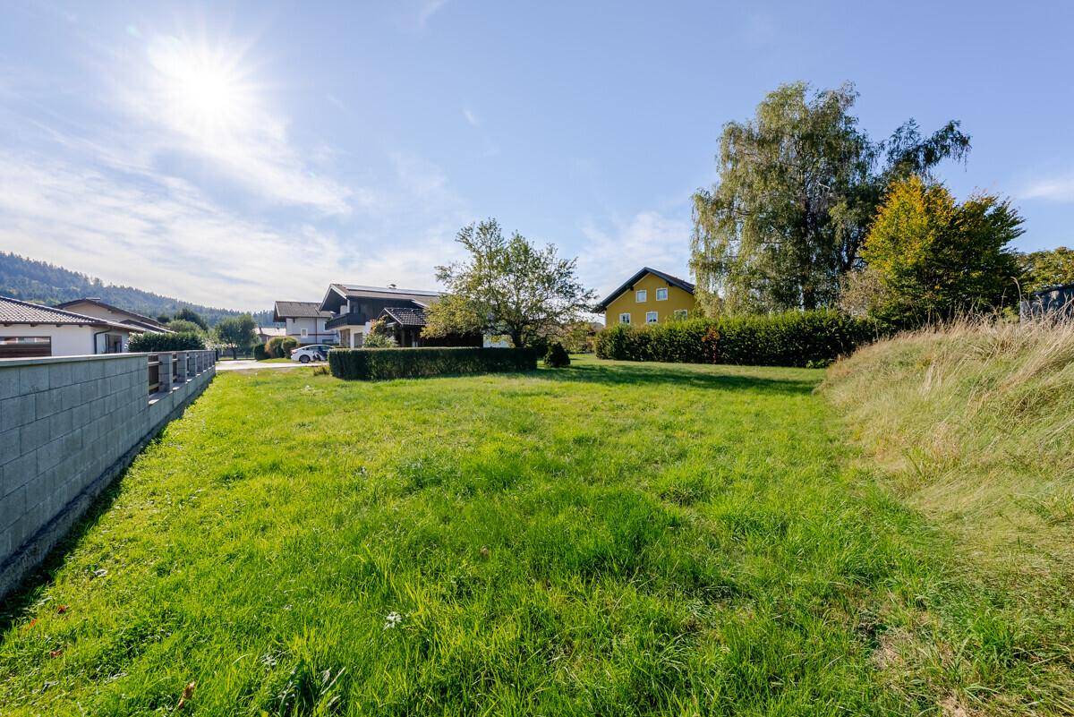 Sonniges, unbebautes Grundstück mit grüner Wiese und Blick auf umliegende Häuser und Bäume.