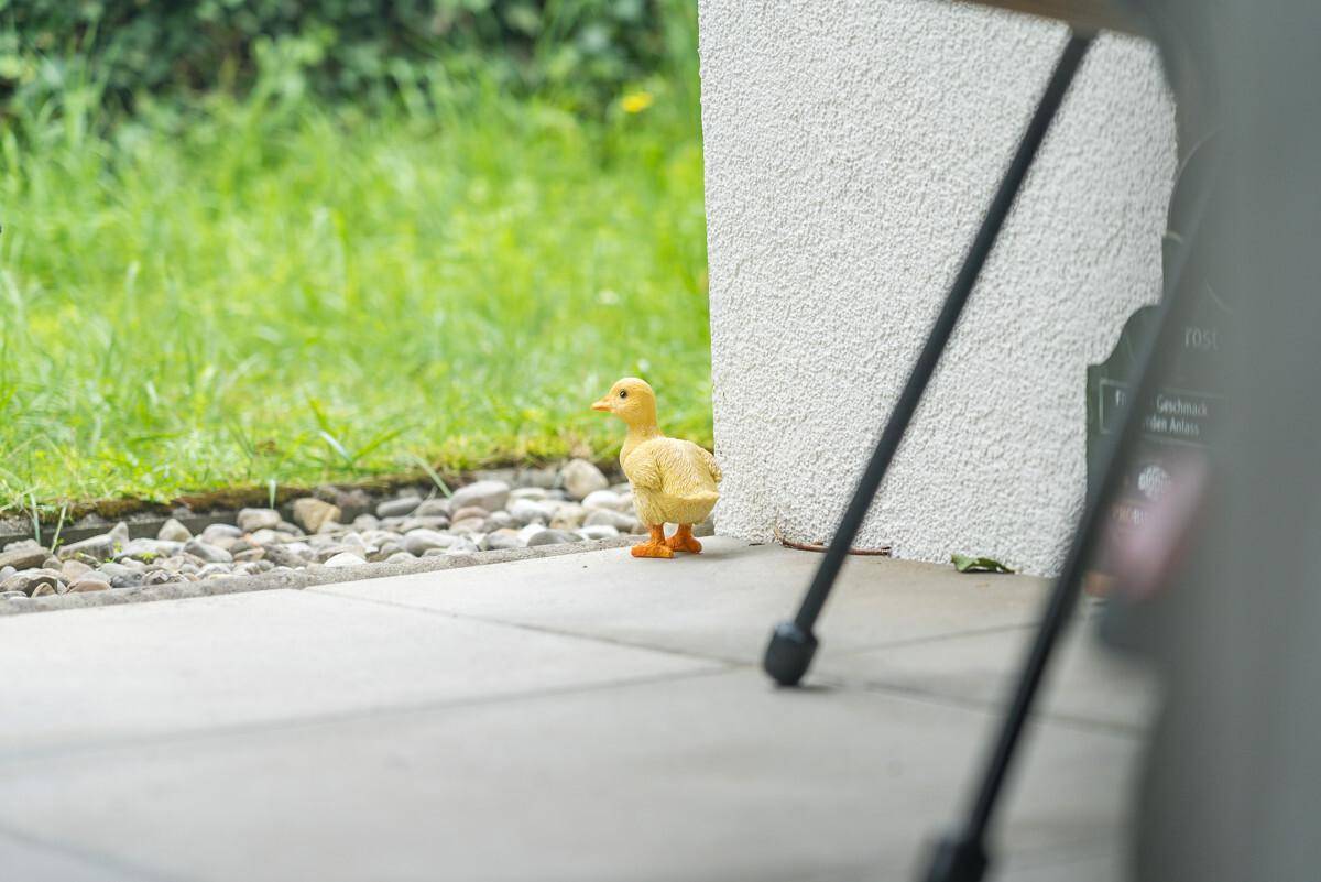 Eine kleine gelbe Entenfigur steht auf der gefliesten Terrasse neben dem Rasen.