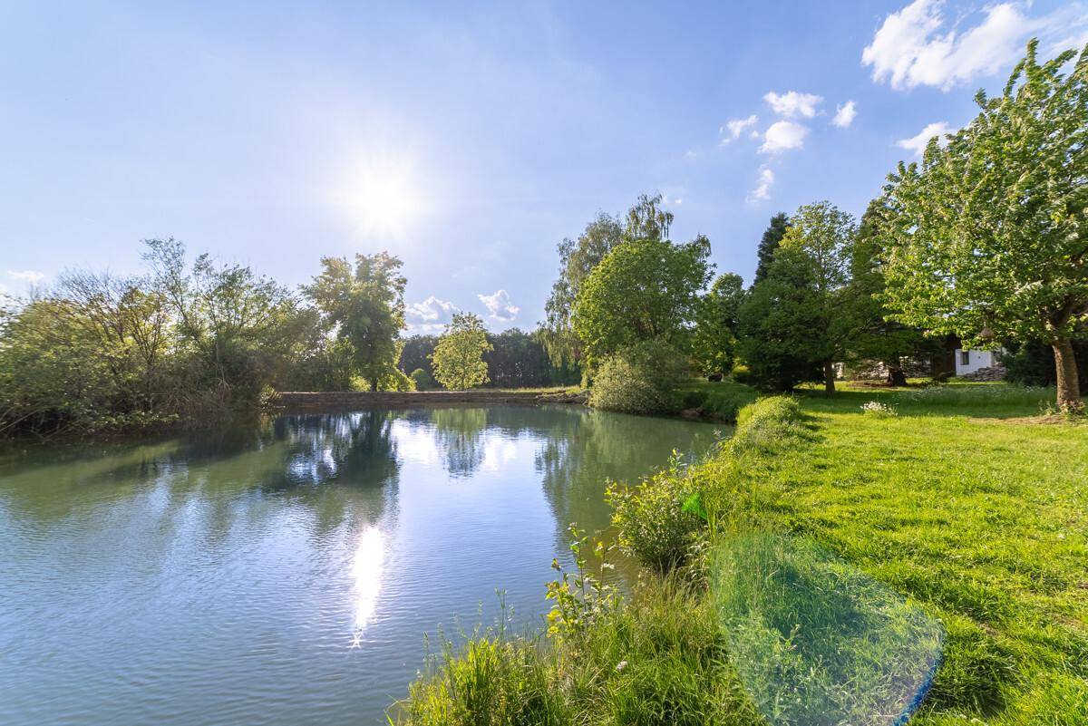 Ein sonniger Teich umgeben von üppigem Grün und Bäumen, der das blaue Himmelslicht reflektiert.