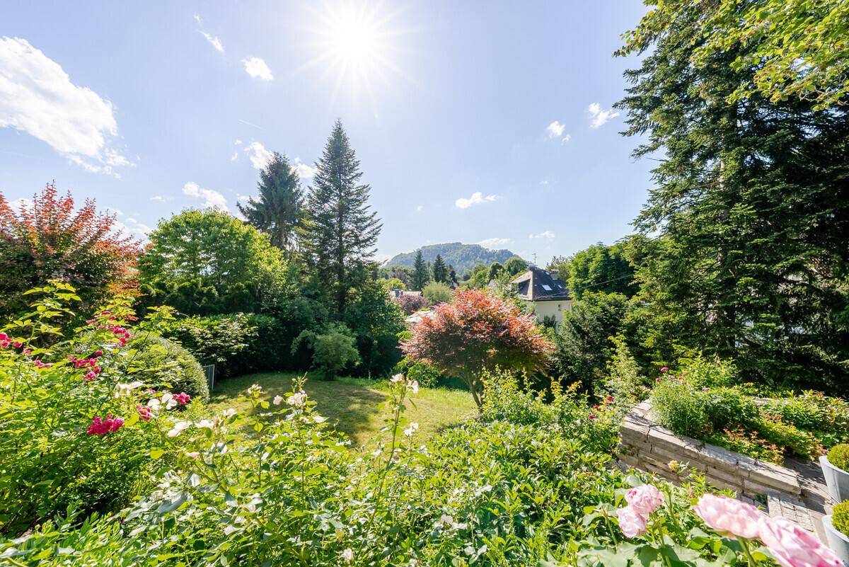 Sonniger Gartenbereich mit vielfältiger Bepflanzung und weitem Blick auf die umliegende Natur.