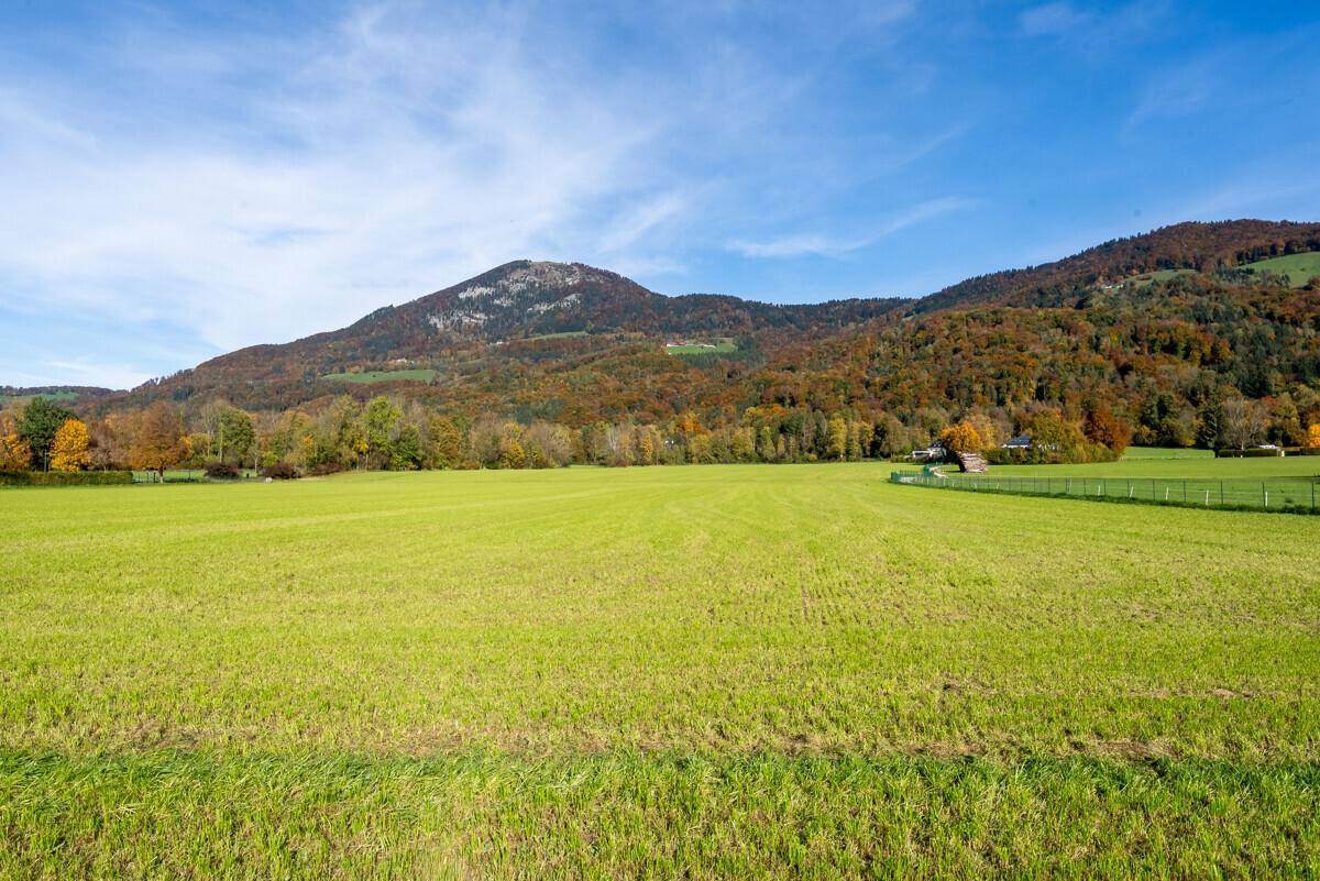 Weites, unberührtes grünes Feld unter einem klaren blauen Himmel mit herbstlichen Hügeln im Hintergrund.
