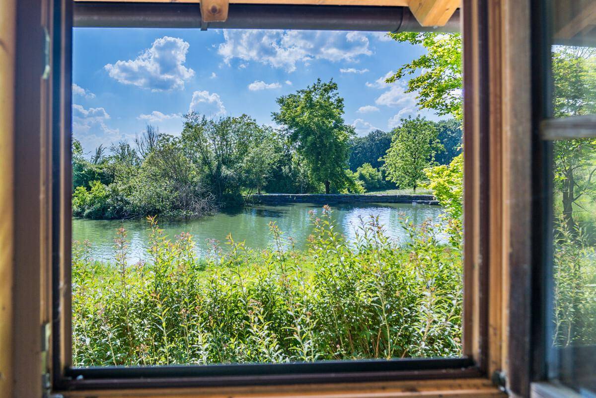 Fensterblick auf einen idyllischen Teich, umgeben von üppigem Grün und Bäumen unter blauem Himmel.