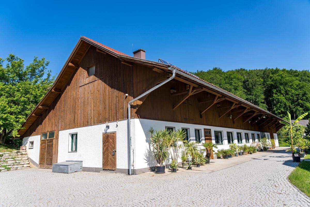 Langes Gebäude mit weißer Fassade und Holzverkleidung, umgeben von gepflastertem Weg und Pflanzen.