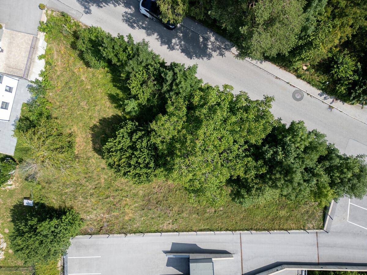 Luftaufnahme eines grünen Grundstücks mit Bäumen und angrenzenden Straßen in einer ländlichen Umgebung.
