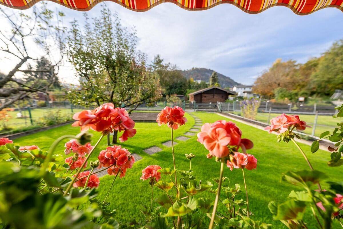 Blick aus dem Fenster auf blühende Geranien, den grünen Garten und die umliegende Landschaft.