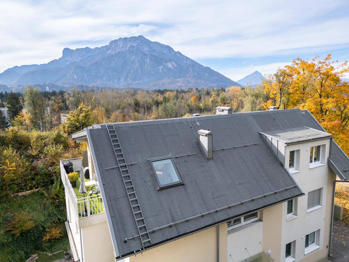 Dachansicht des Gebäudes mit Dachfenster und Leiter, umgeben von Bäumen und Bergen.