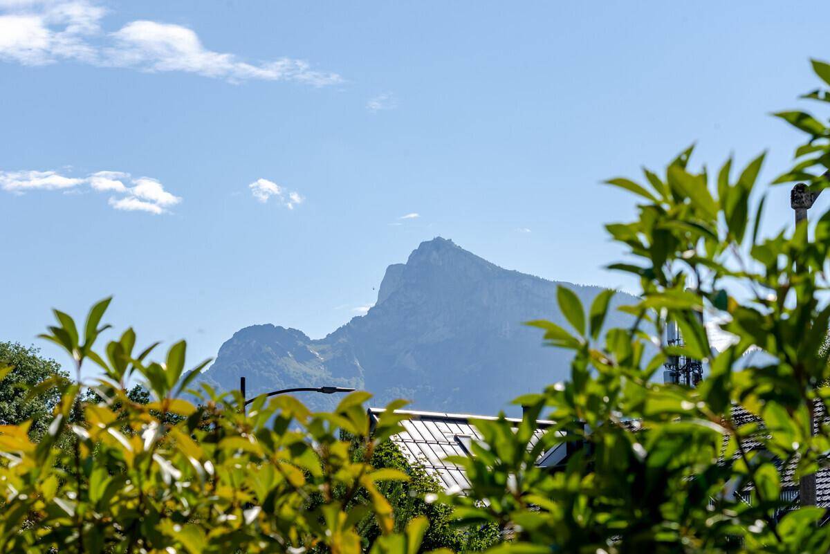 Malerischer Bergblick durch grüne Blätter, der die natürliche Umgebung der Immobilie hervorhebt.