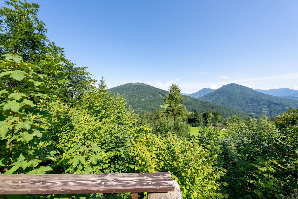 Idyllischer Ausblick auf die sanften Hügel und bewaldeten Berge, umgeben von unberührter Natur.
