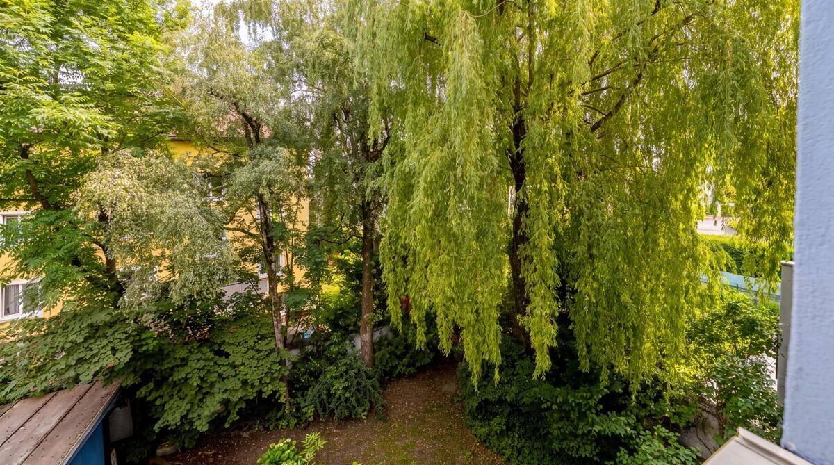 Grüner, üppiger Gartenbereich mit hohen Bäumen und dichtem Buschwerk, der eine natürliche Oase bildet.
