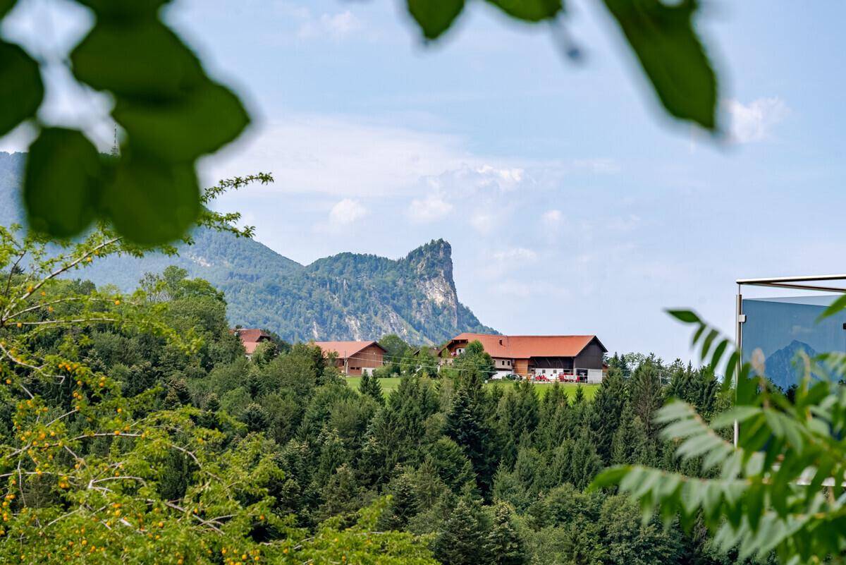 Detailaufnahme des Bergblicks mit traditionellen Häusern, umgeben von dichtem Wald und grüner Natur.