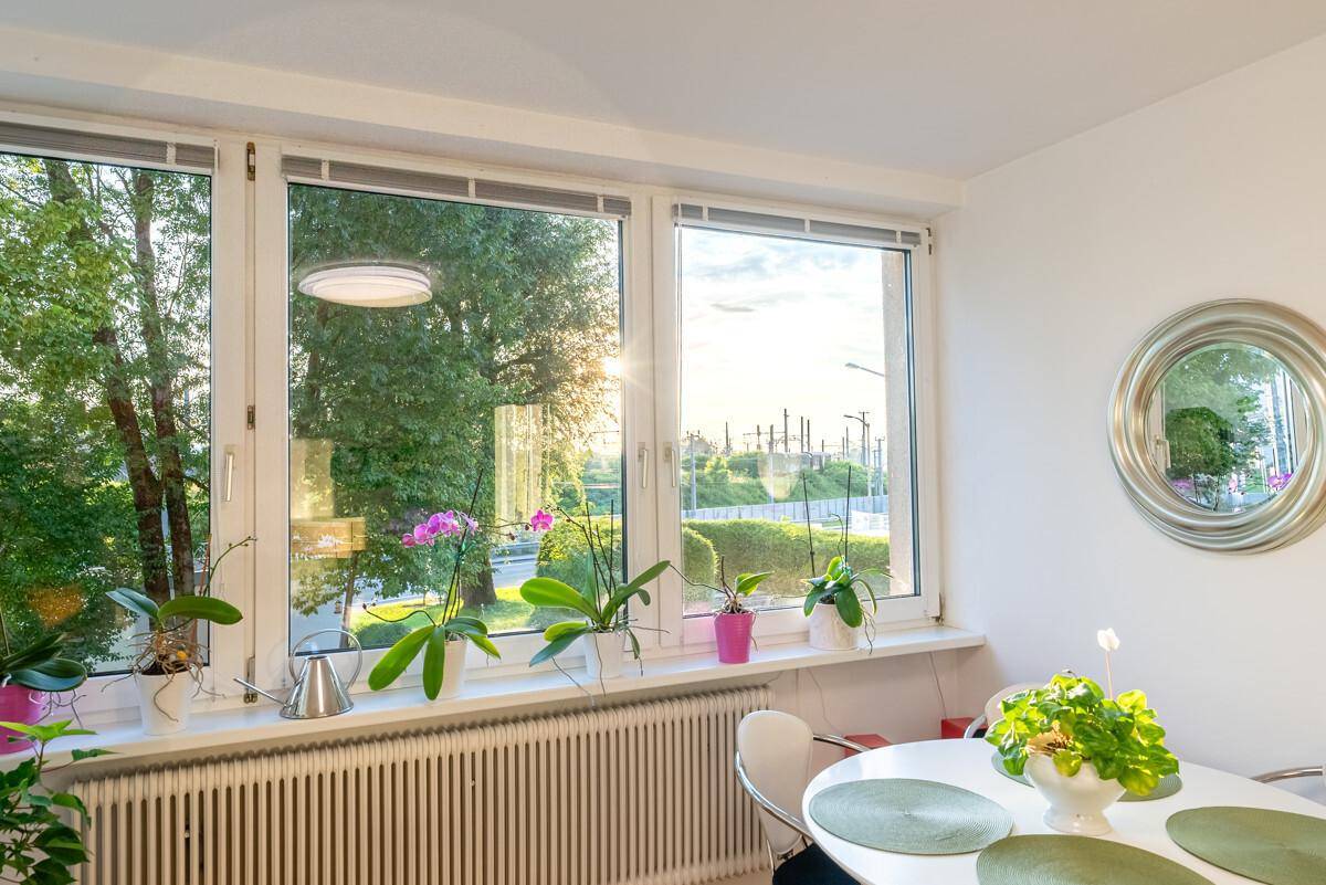 Sonnige Fensterecke mit Pflanzen und Blick ins Grüne sowie auf Bahngleise.