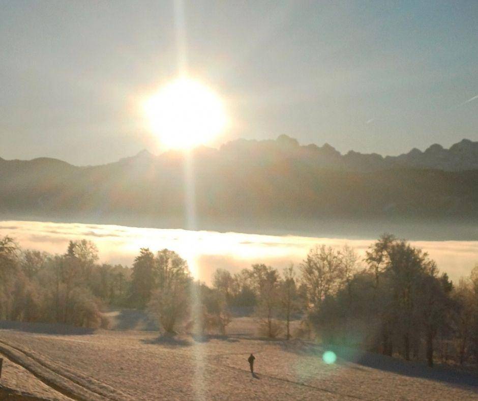 Winterliche Landschaft mit strahlender Sonne, Nebel und schneebedeckten Bergen im Hintergrund.