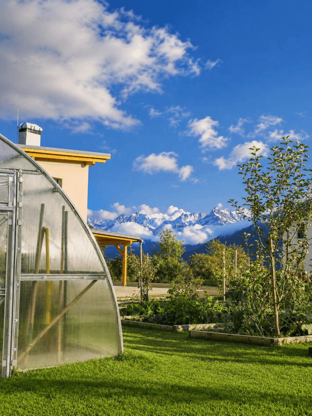 Gewächshaus im Garten mit jungen Bäumen und schneebedeckten Bergen im Hintergrund unter blauem Himmel.