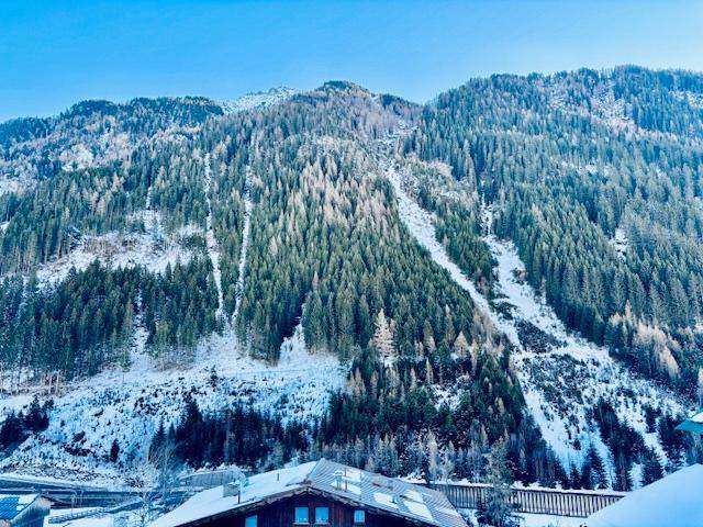 Atemberaubender Blick auf schneebedeckte Berge mit dichten Wäldern unter einem klaren blauen Himmel.