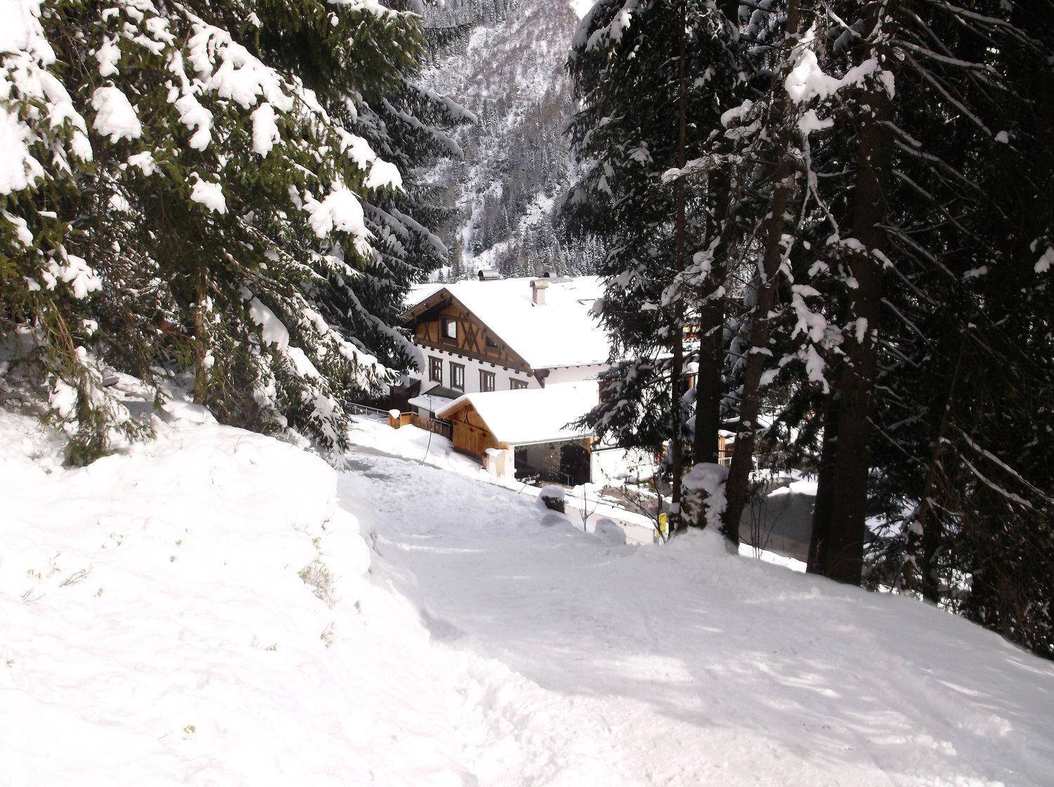 Verschneites Chalet eingebettet in eine winterliche Berglandschaft, umgeben von hohen Tannen.