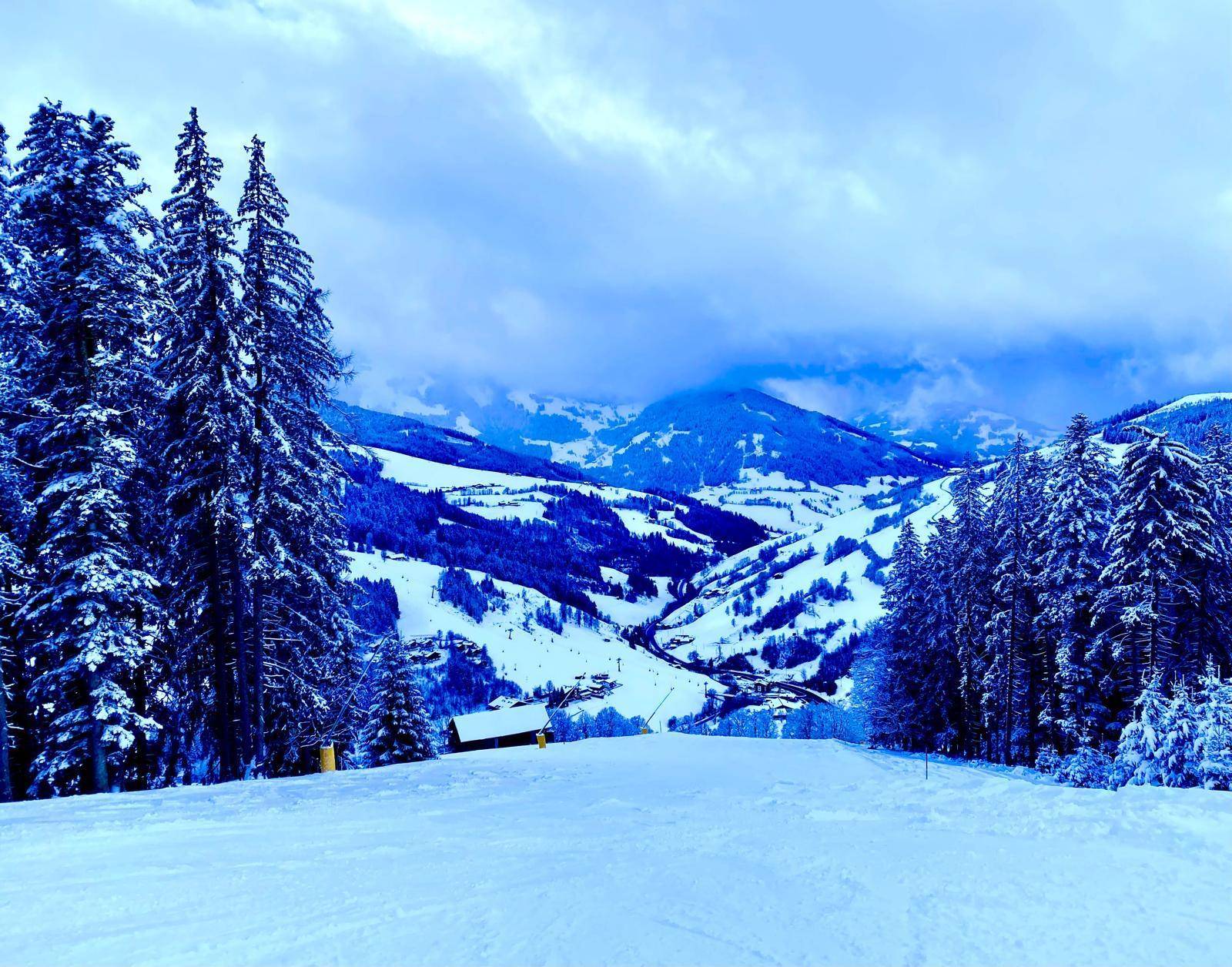 Weitläufige, verschneite Berglandschaft mit Tannenbäumen und Skipisten unter bewölktem Himmel.