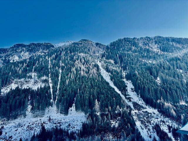 Weitläufiger Blick auf schneebedeckte Berge und dichte Wälder unter einem strahlend blauen Himmel.