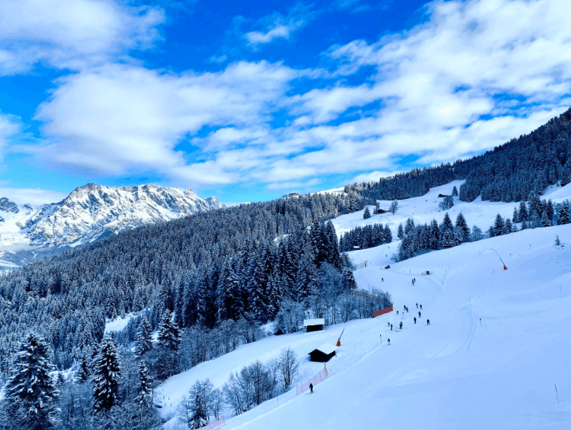 Verschneite Skipiste mit Skifahrern, umgeben von Tannenwäldern und Bergen.