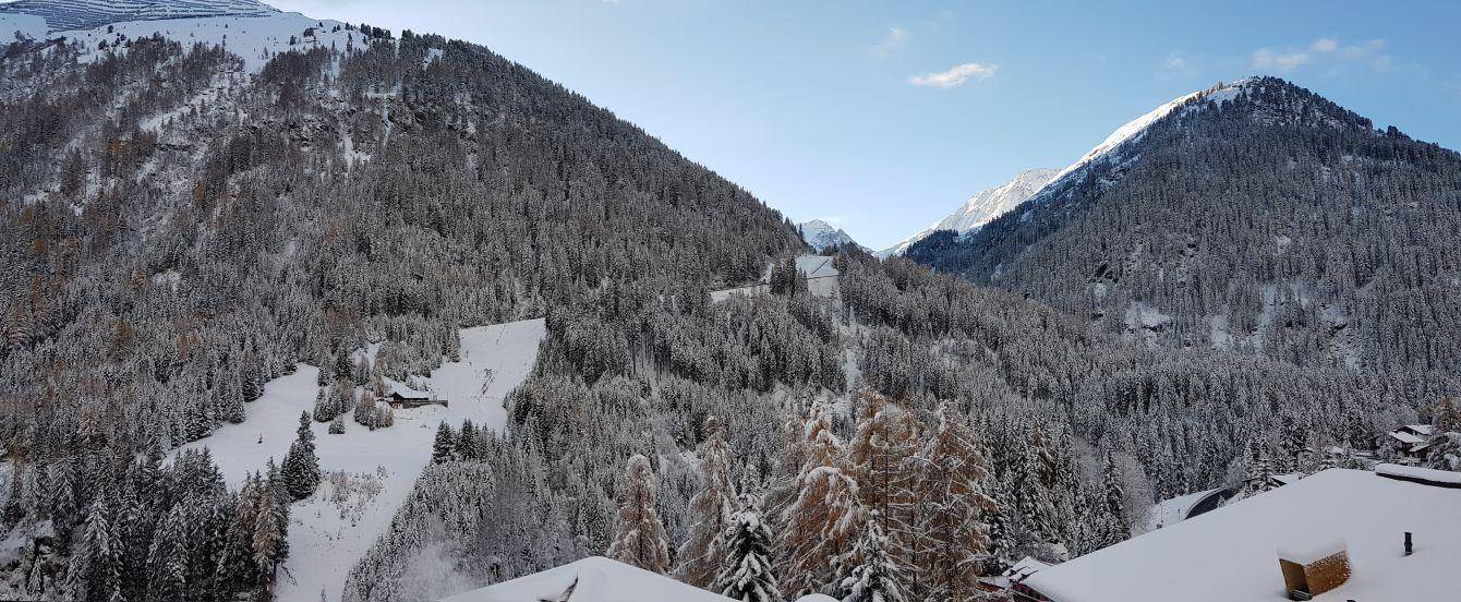 Weitläufiger Panoramablick auf schneebedeckte Berge und dichte Wälder unter blauem Himmel.