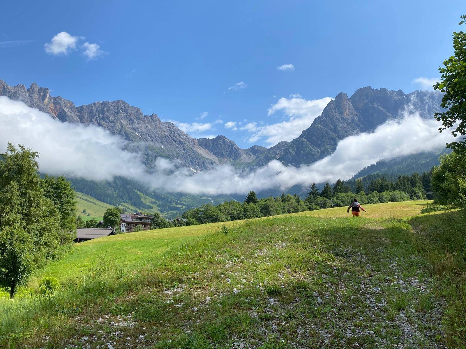 Grüne Wiesen und bewaldete Hänge mit majestätischen Bergen im Hintergrund unter blauem Himmel.