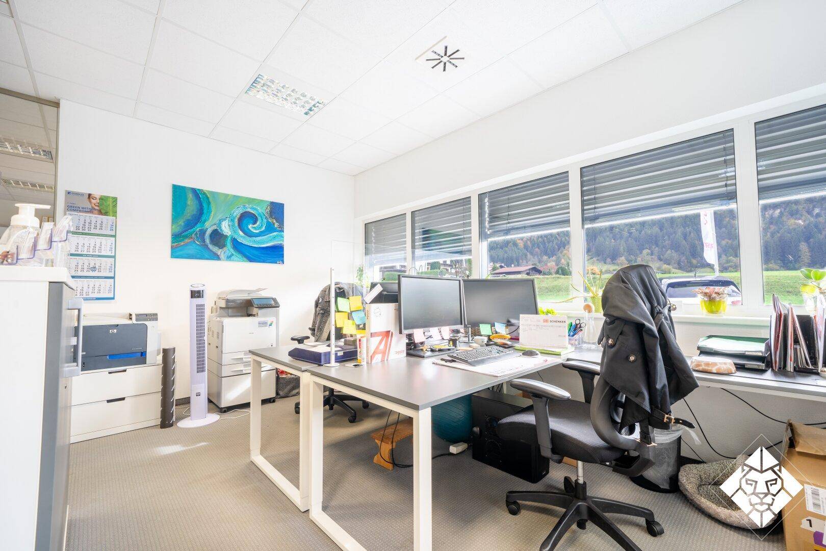 Helles Büro mit Schreibtisch, Drucker und Blick auf die grüne Landschaft durch die Fenster.