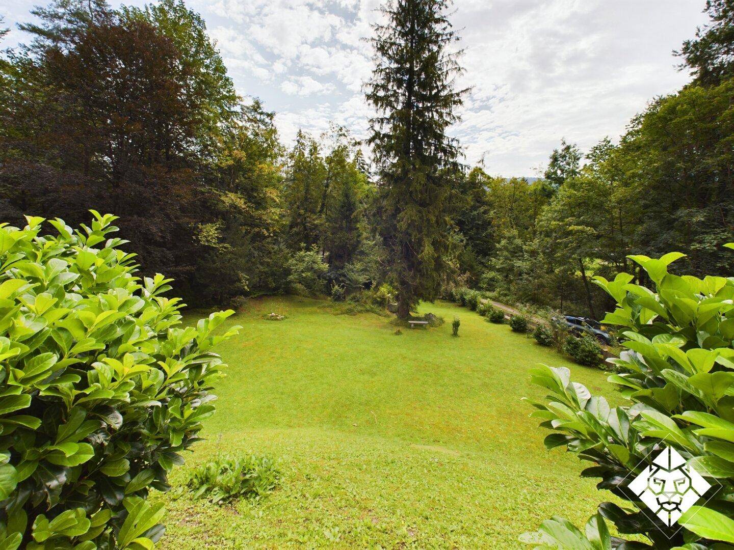 Weitläufiger grüner Rasenbereich, umgeben von hohen Bäumen und dichter Vegetation.
