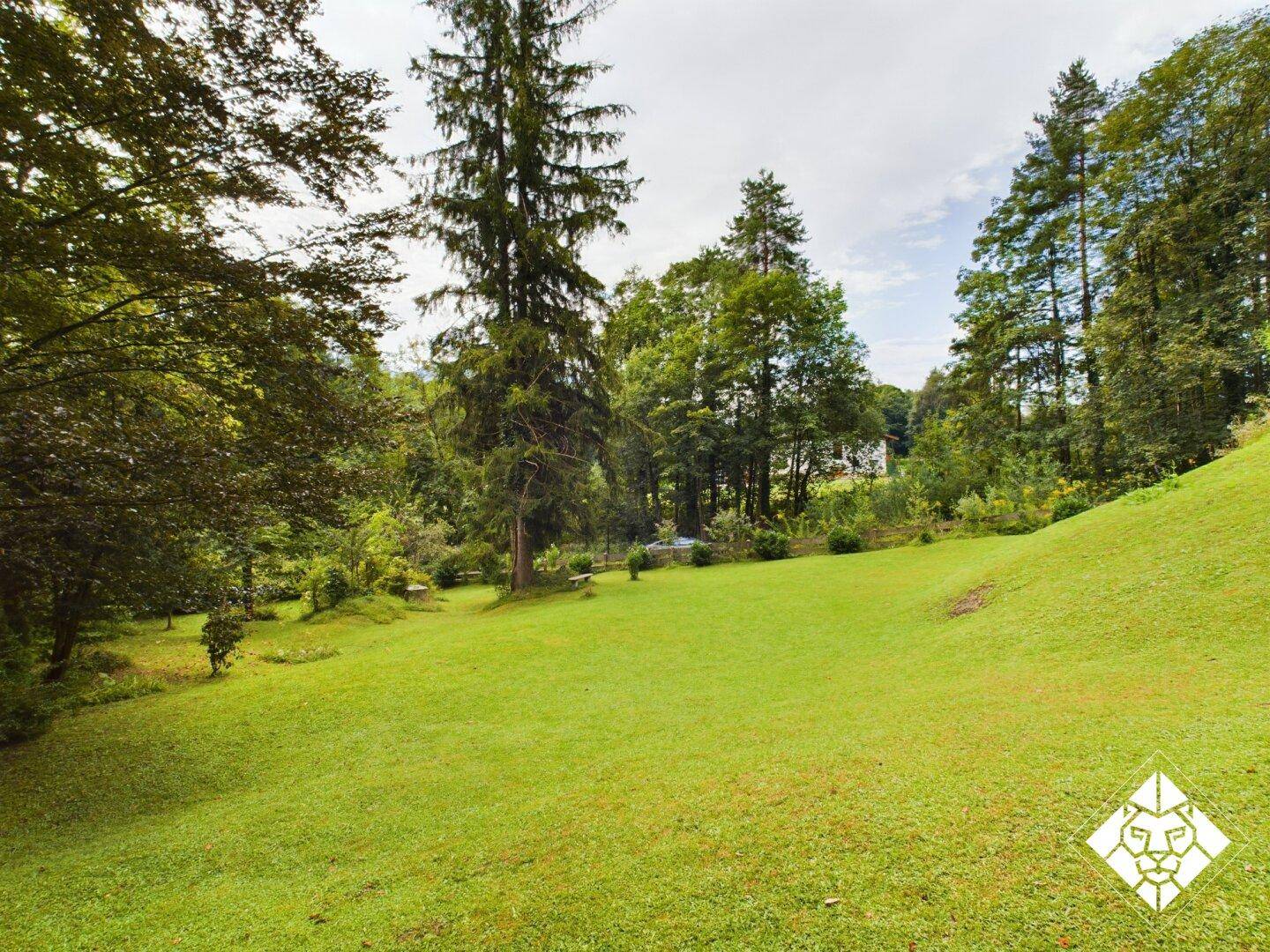 Ausgedehnte grüne Rasenfläche, umgeben von hohen Bäumen und einer ruhigen Naturlandschaft.