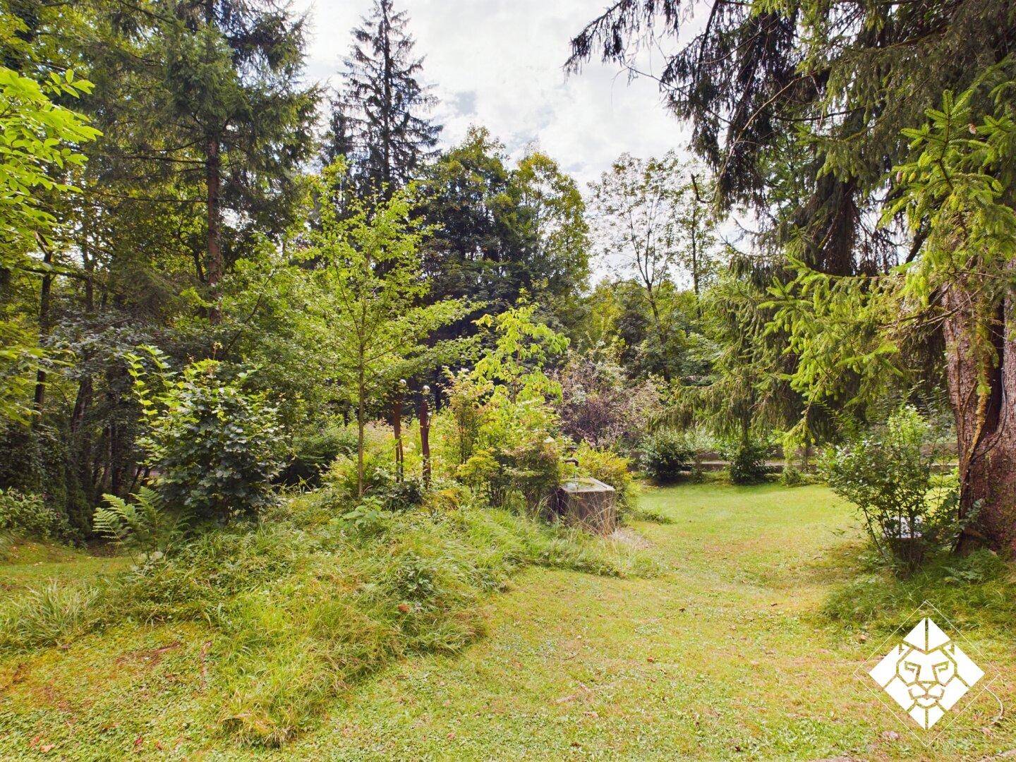 Naturbelassener Gartenbereich mit verschiedenen Bäumen und Sträuchern, umgeben von Wald.