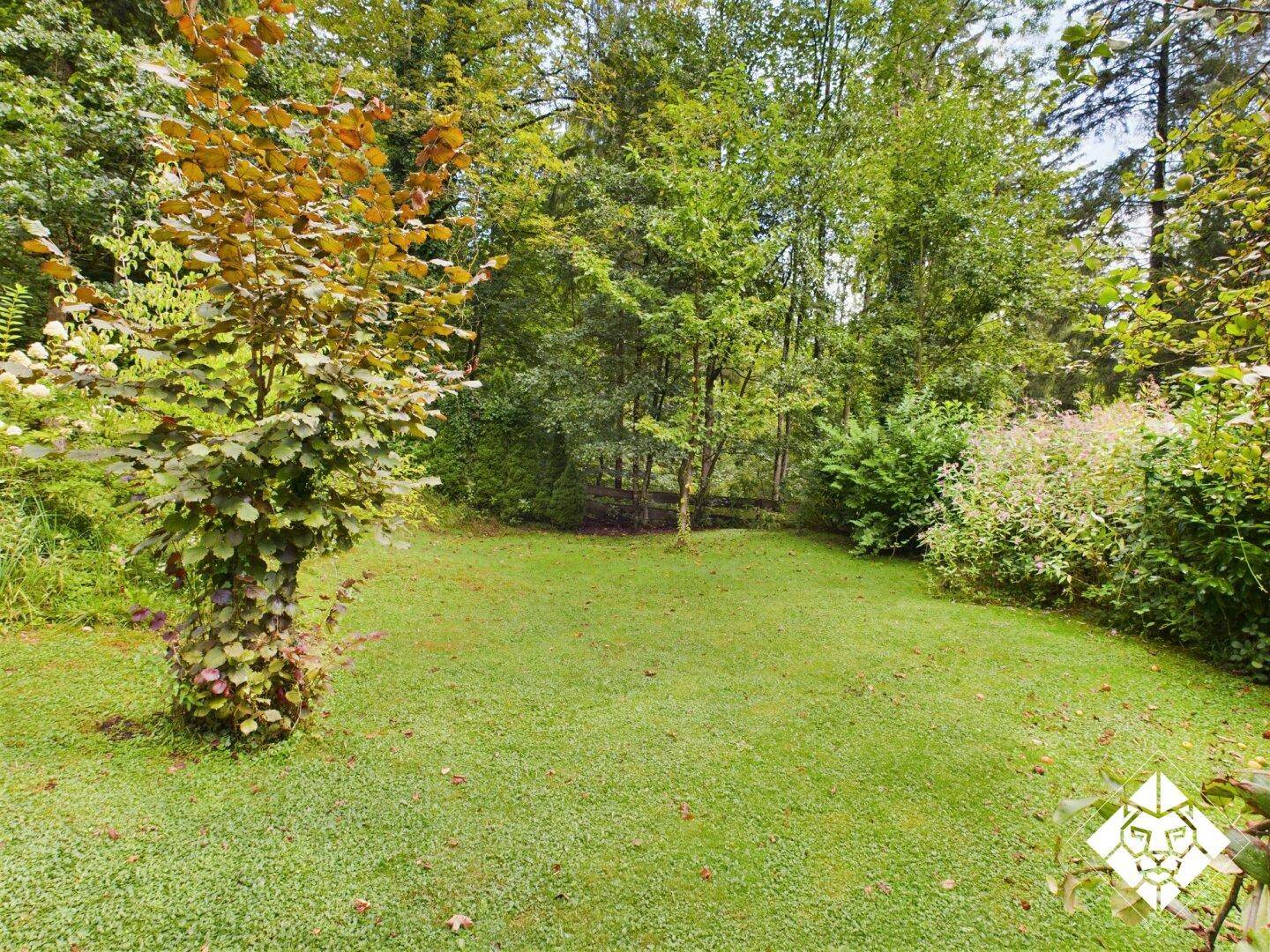 Gepflegter Rasenbereich mit einem jungen Baum und umgebender dichter Vegetation.