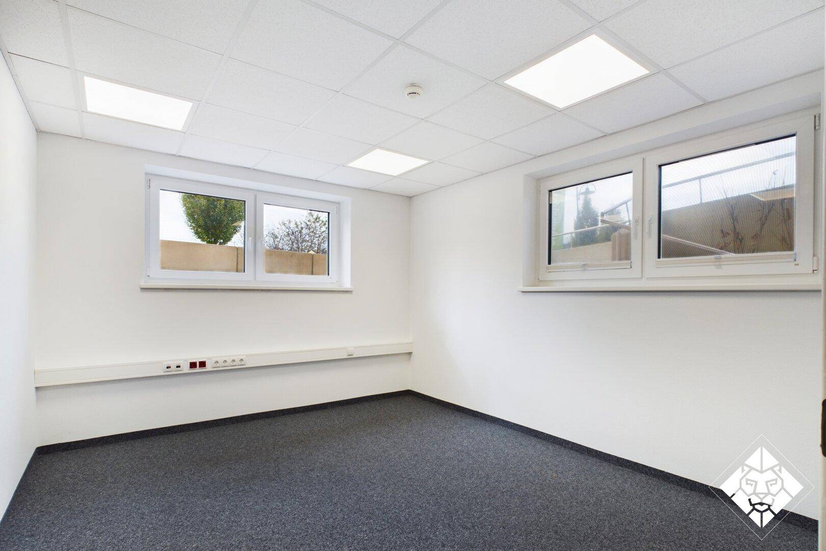 Heller Büroraum mit zwei Fenstern, grauem Teppichboden und Anschlussleisten an der Wand.