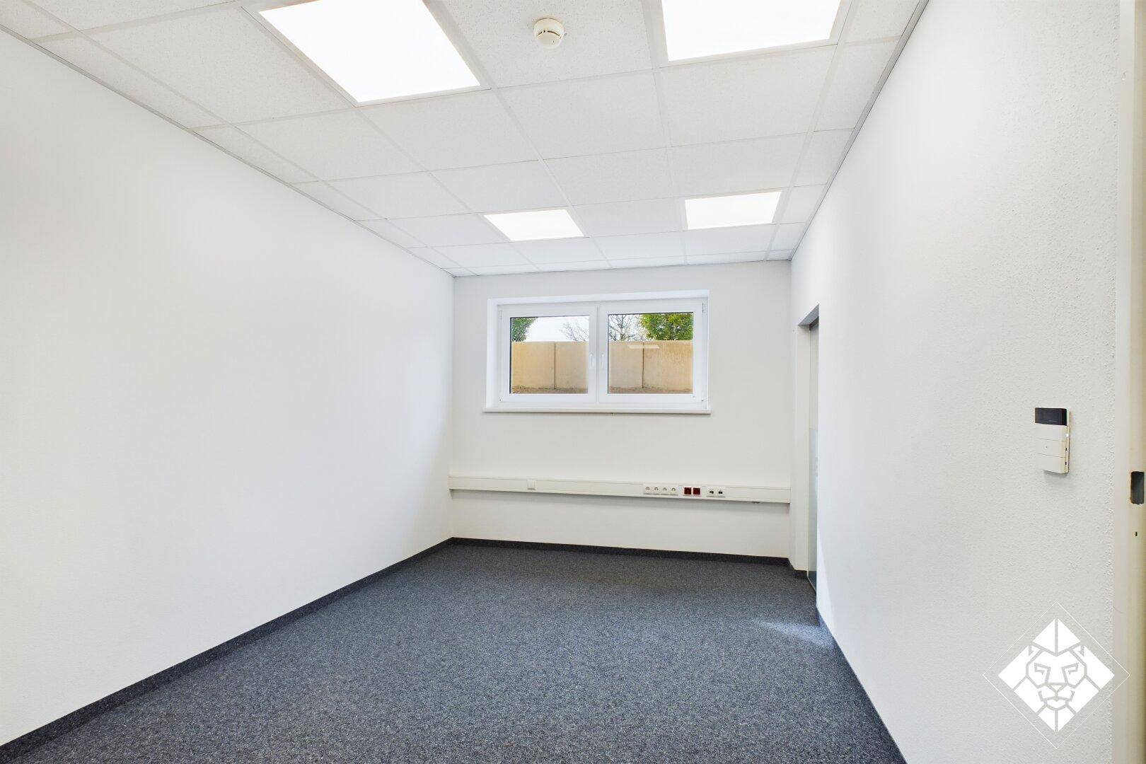 Kleinerer Büroraum mit Teppichboden, einem Fenster und Anschlussleisten an der Wand.