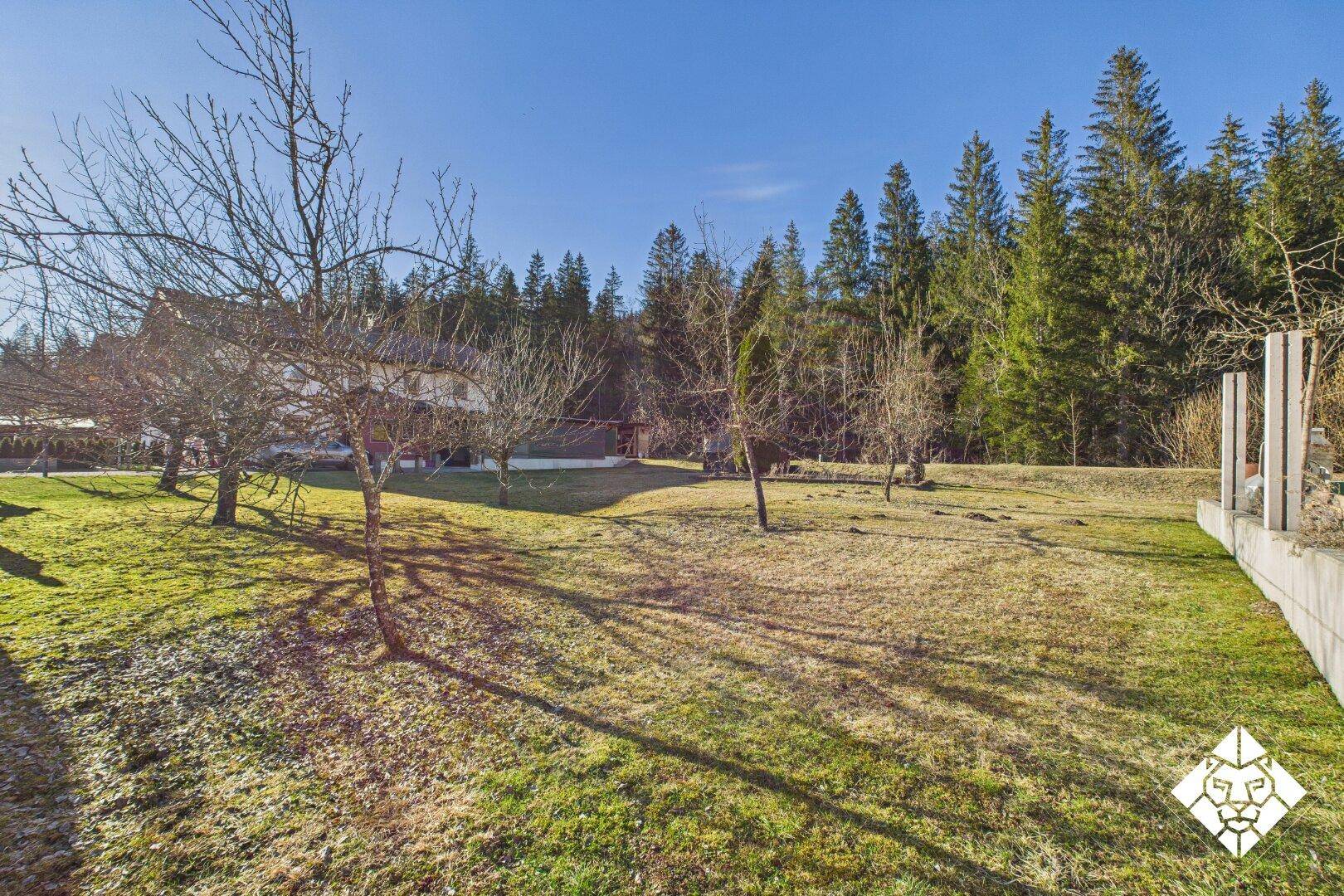 Große Rasenfläche mit kahlen Bäumen, umgeben von dichtem Wald und einem Haus im Hintergrund.