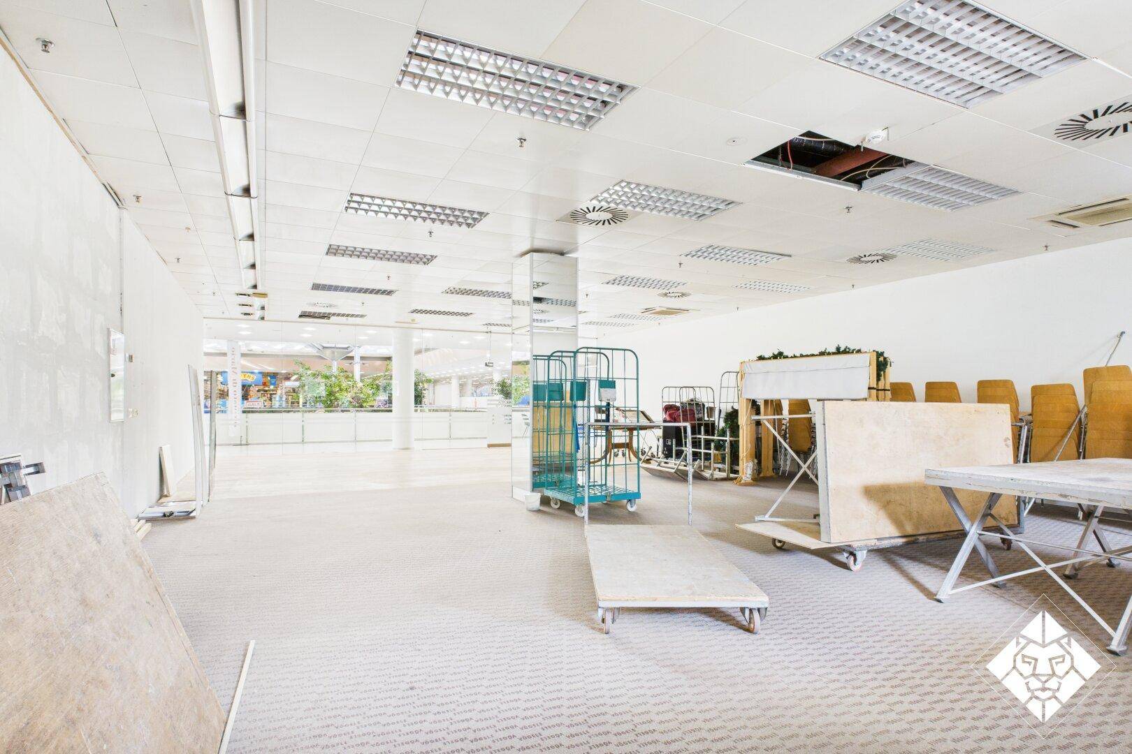 Großer Gewerberaum mit Teppichboden und abgehängter Decke, bietet viel Platz für verschiedene Nutzungskonzepte.