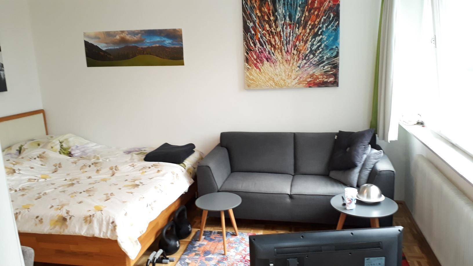 Wohnbereich mit Sofa, Fernseher und angrenzendem Schlafbereich in einem Studioapartment.
