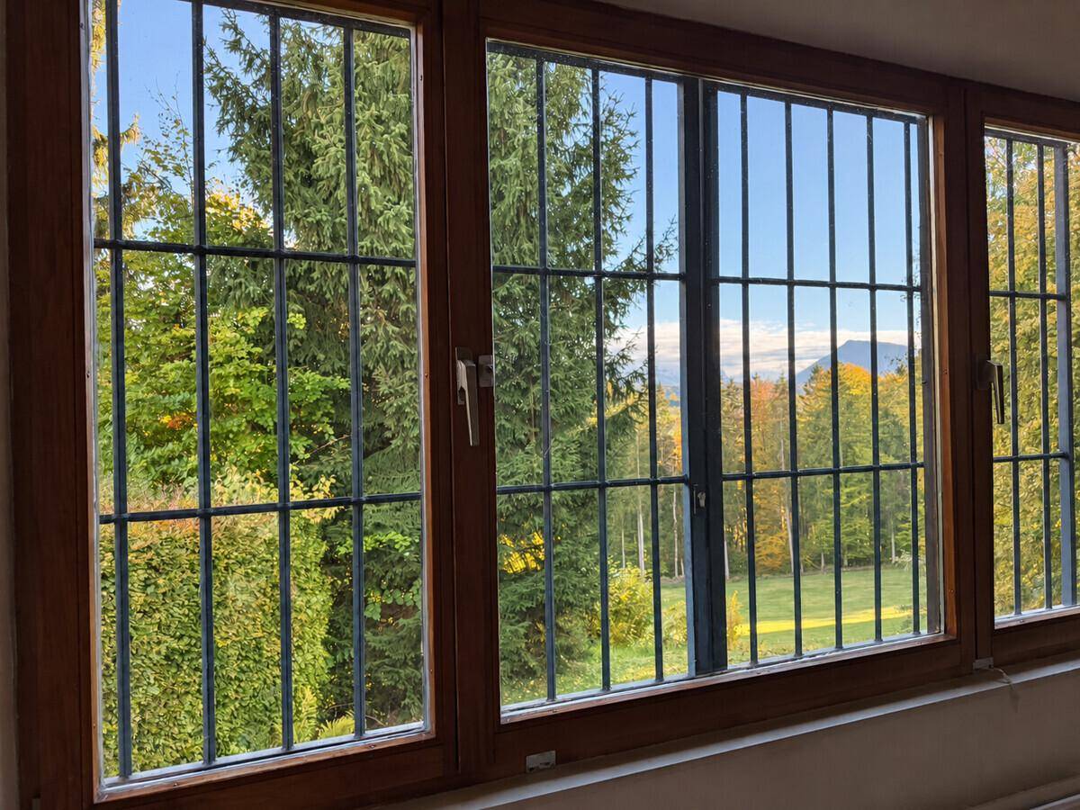 Fensterblick auf grüne Bäume und ferne Berge, geschützt durch Fenstergitter.