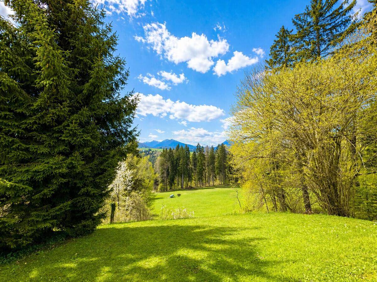 Weitläufige grüne Landschaft mit Wald und Bergen im Hintergrund unter strahlend blauem Himmel.
