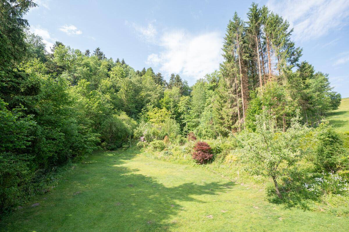 Weitläufiger Gartenbereich mit üppiger Vegetation und hohen Bäumen.