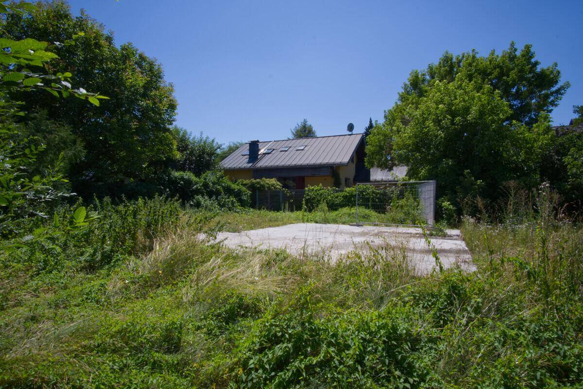 Grünes Grundstück mit Wildwuchs und einem Haus im Hintergrund, umgeben von Bäumen.