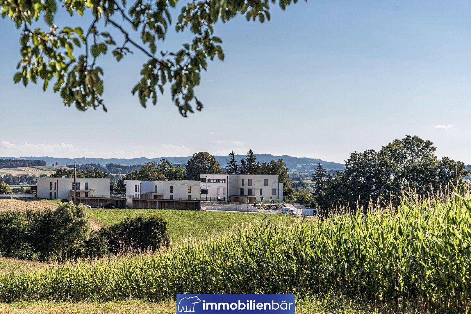 Panoramablick über Maisfelder und grüne Hügel auf eine moderne Wohnsiedlung.