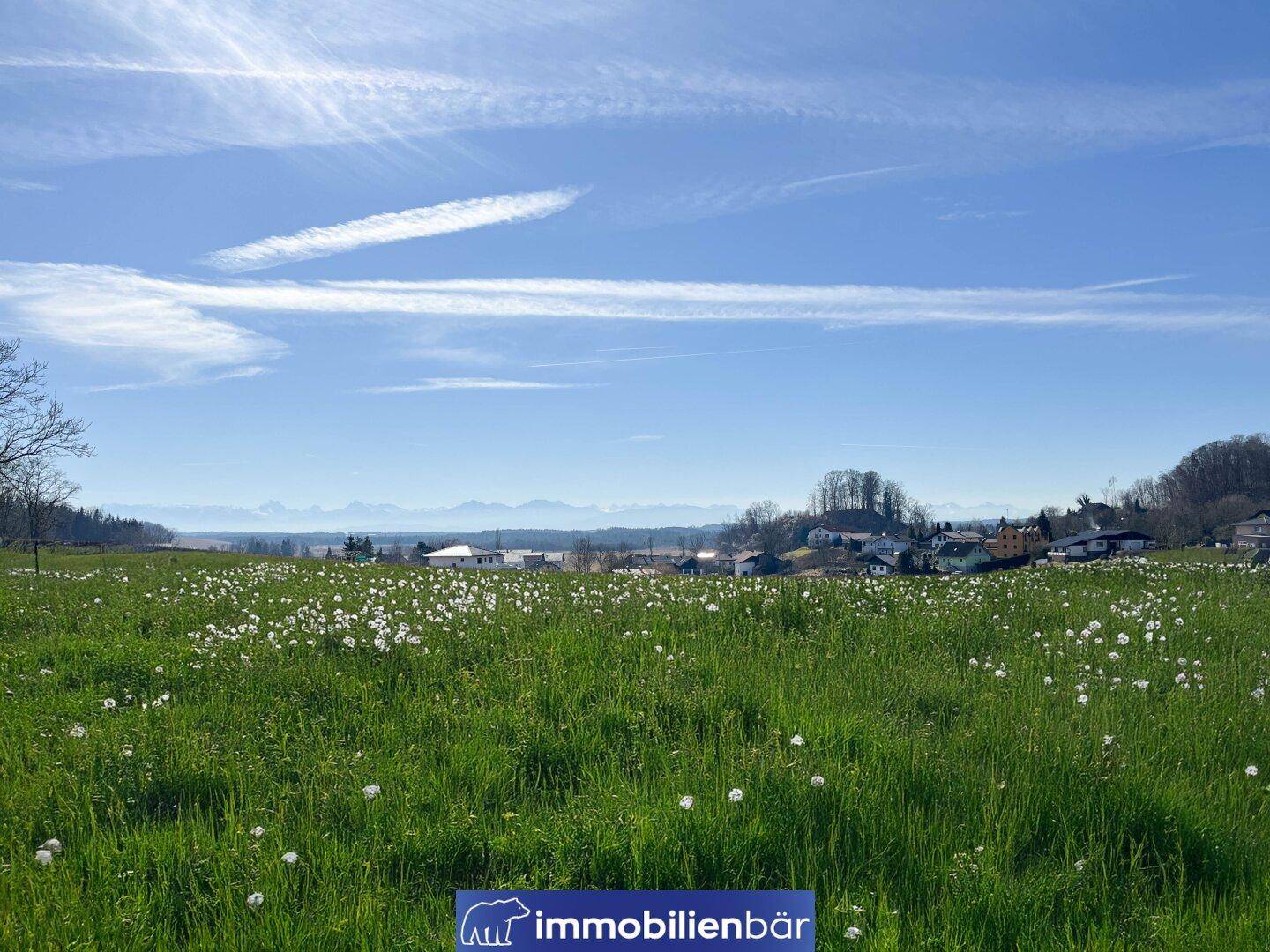 Weitläufige grüne Landschaft mit Wiesen und Bäumen unter blauem Himmel.