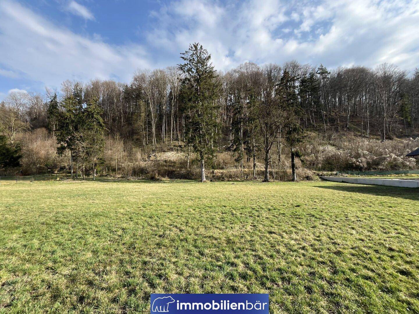 Weitläufige Rasenfläche mit Blick auf den angrenzenden Wald und alte Bäume unter blauem Himmel.