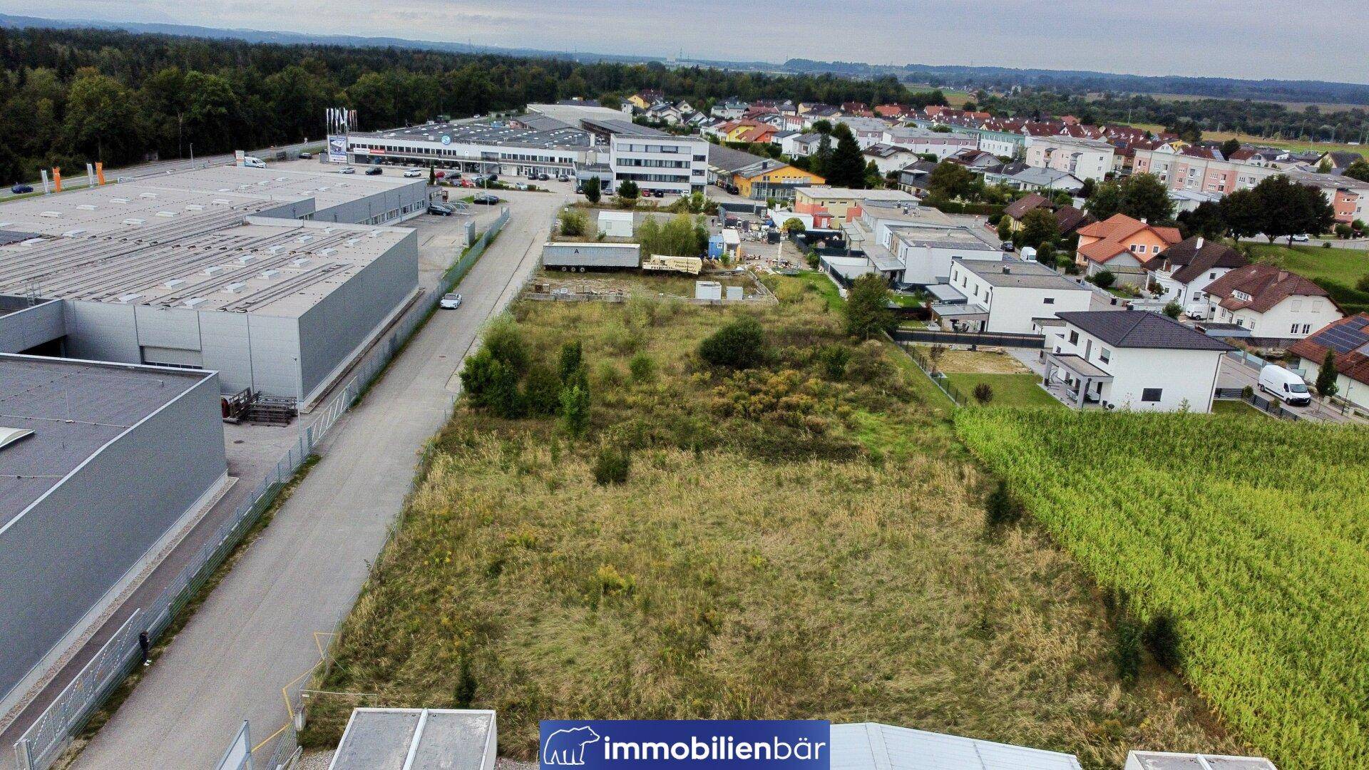 Slide 5