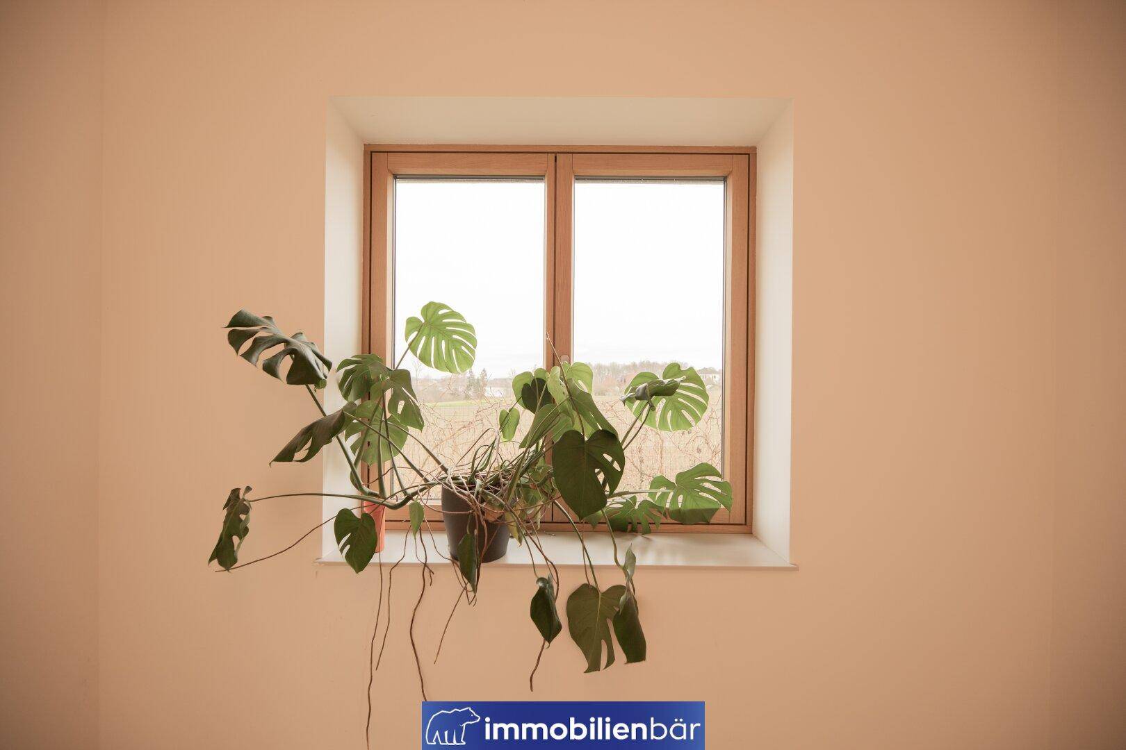 Fenster mit Blick auf die weite Landschaft und Topfpflanzen auf der Fensterbank.
