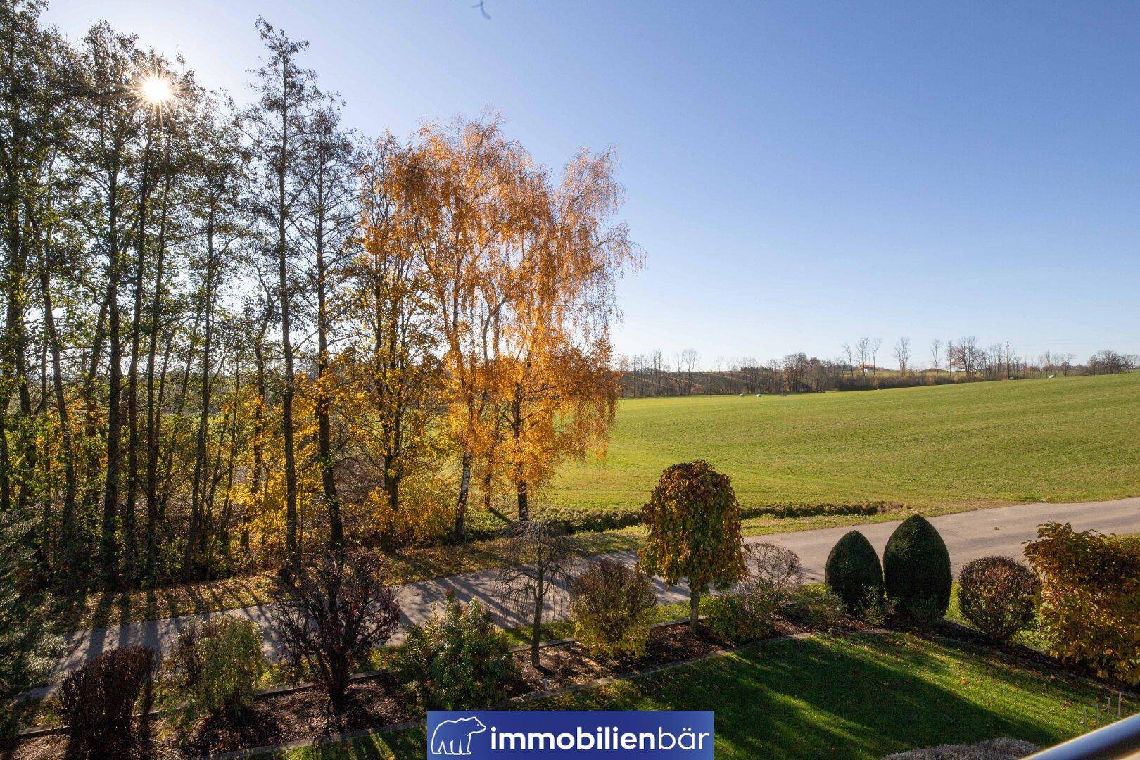 Weitläufiger Blick ins Grüne mit Feldern und Bäumen unter blauem Himmel, sonnig und offen.