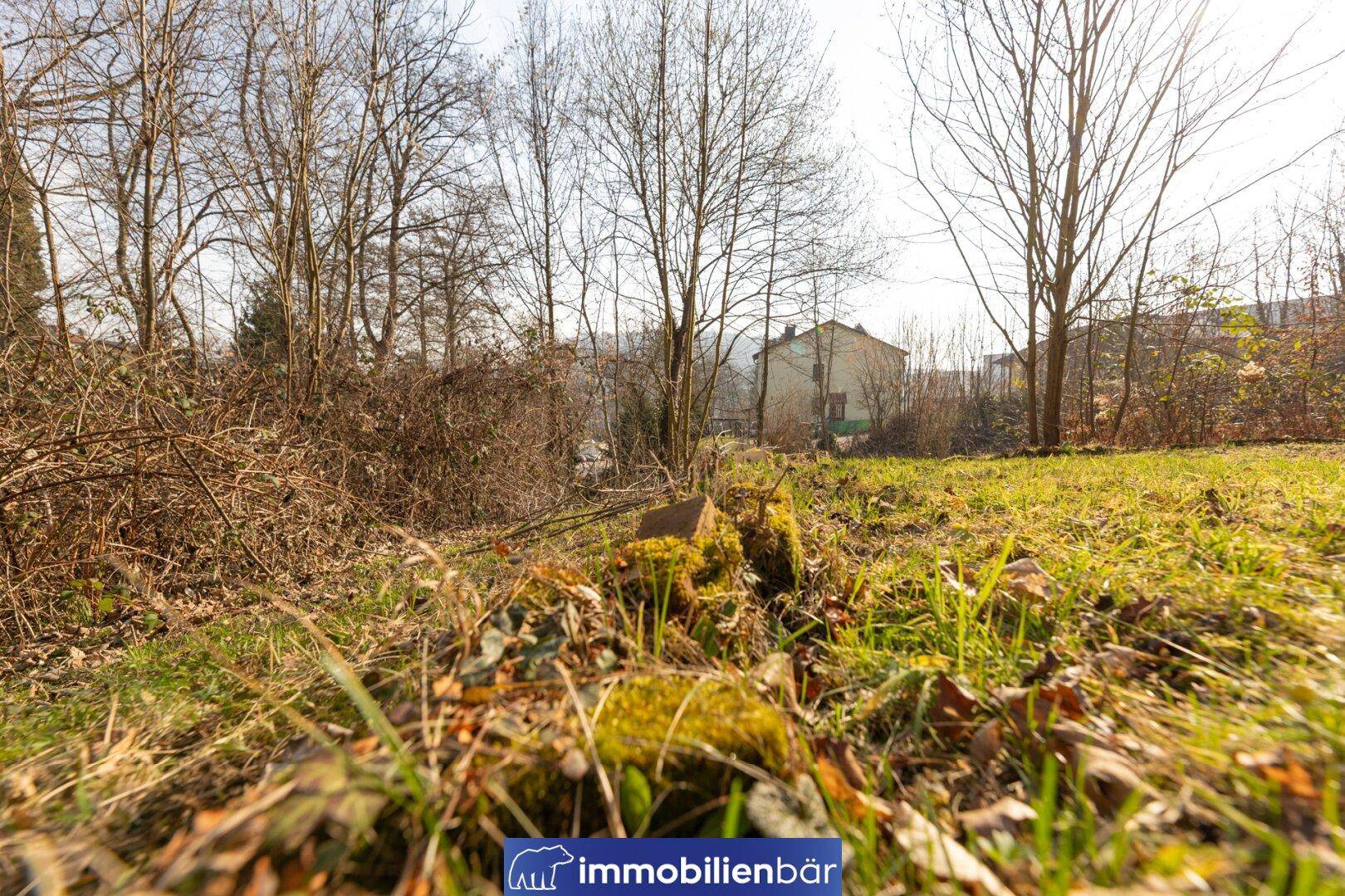 Weitläufige Grünfläche mit kahlen Bäumen im Hintergrund und einem Baumstumpf im Vordergrund.