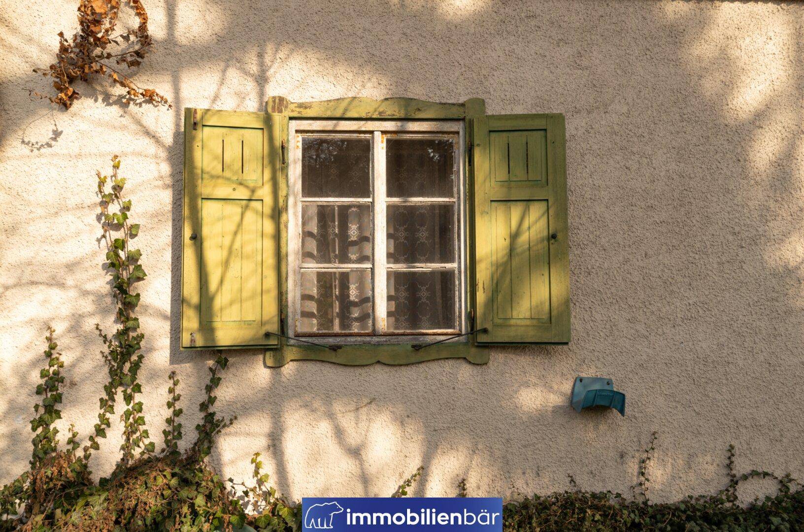 Detailansicht eines Fensters mit traditionellen grünen Fensterläden und Efeu an der Wand.